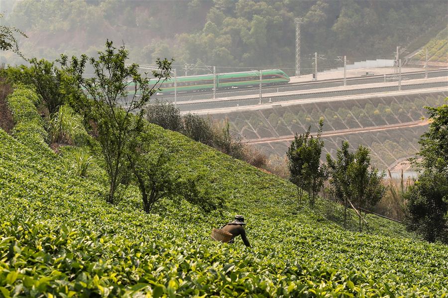 （新華全媒頭條·圖文互動）（3）一路飛架跨山河——寫在中老鐵路國際旅客列車開行首日