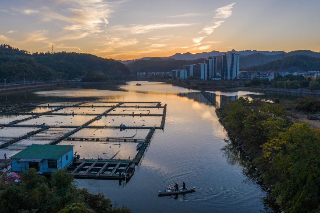 浙江建德：特色種養(yǎng)殖產(chǎn)業(yè)助力文旅消費(fèi)新活力