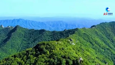 小秦嶺重回動(dòng)植物宜居之地